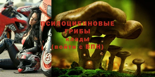 герыч Богородск