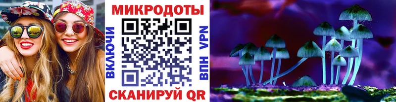 купить наркоту  Киселёвск  Псилоцибиновые грибы Cubensis 